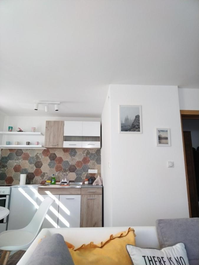 Apartman Milly كوباونيك المظهر الخارجي الصورة